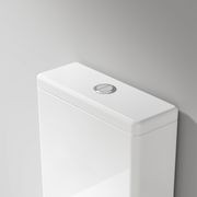 Coloured Toilet Flush Button | 57Ø mm gallery detail image