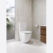 Flow Typhoon Standard BTW Toilet Suite gallery detail image
