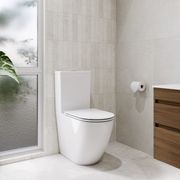 Flow Typhoon Standard BTW Toilet Suite gallery detail image