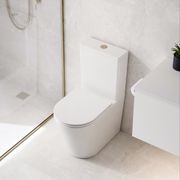 Universal Coloured Toilet Flush Button | 50Ø mm gallery detail image