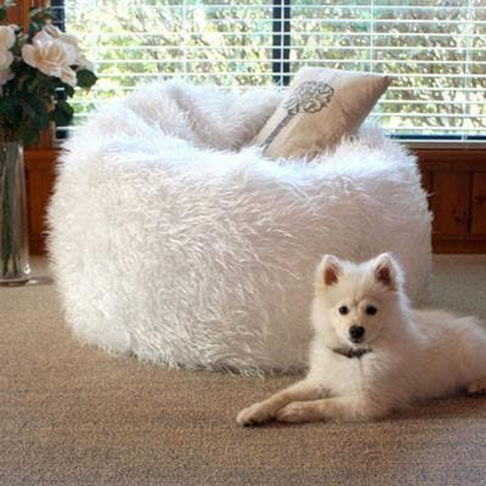 Fur Bean Bag - White Polo gallery detail image
