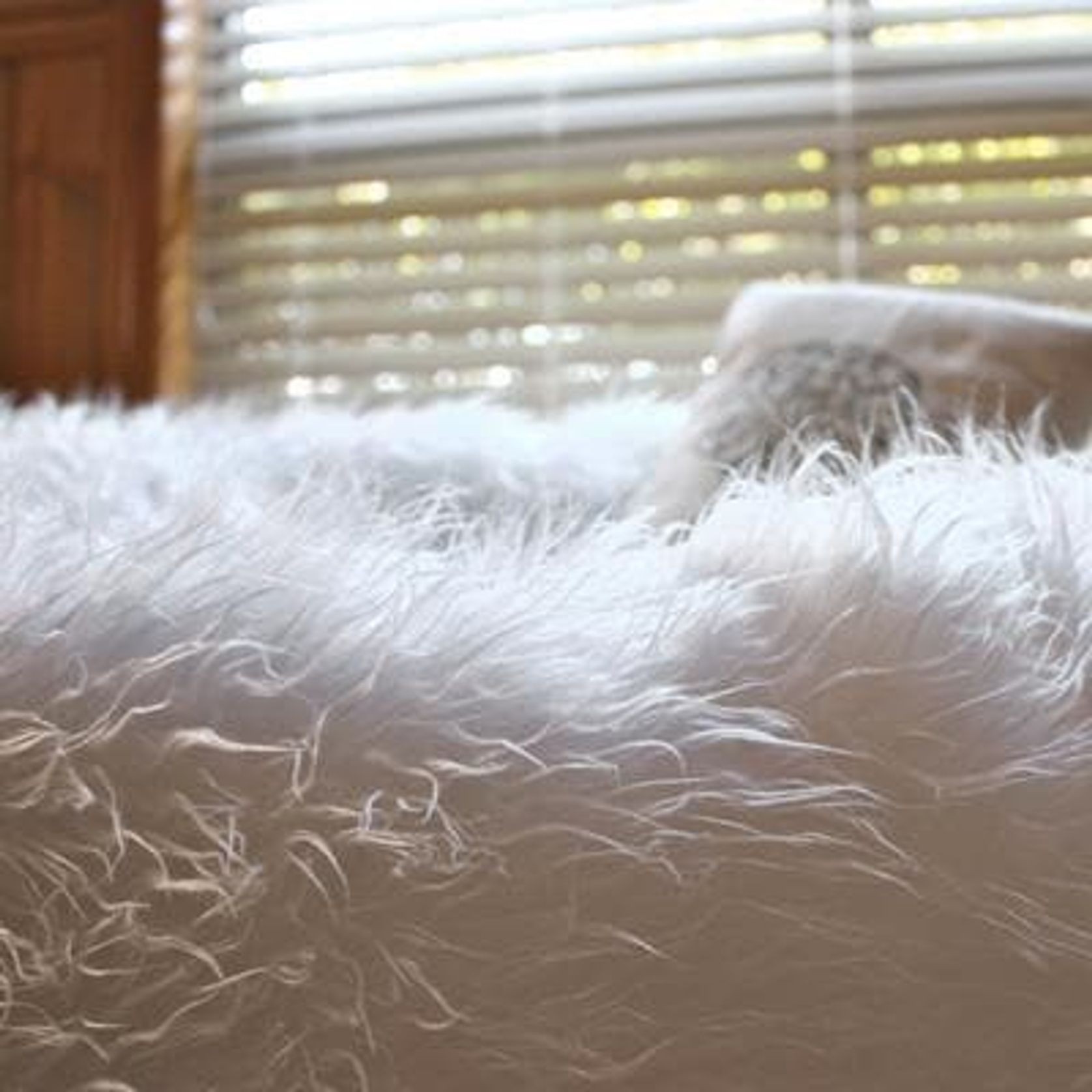 Fur Bean Bag - White Polo gallery detail image