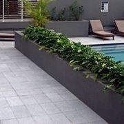 Silver Grey Granite Pool Coping gallery detail image