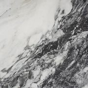 Eterno Marmo Zebrino | Perini Tiles gallery detail image