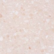 Minerva Rosa gallery detail image