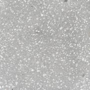 Minerva Tempesta gallery detail image