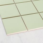 Cabra Soap Green | Perini Tiles gallery detail image