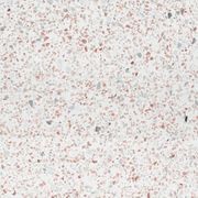 Venice Coral gallery detail image