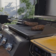 Weber Spirit EX-315 ULPG gallery detail image
