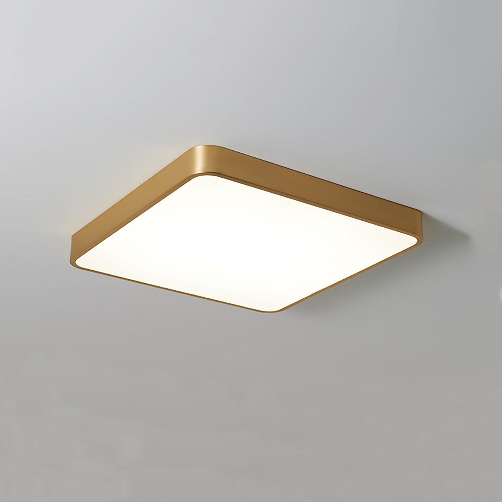Plano Ceiling Light gallery detail image