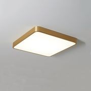 Plano Ceiling Light gallery detail image