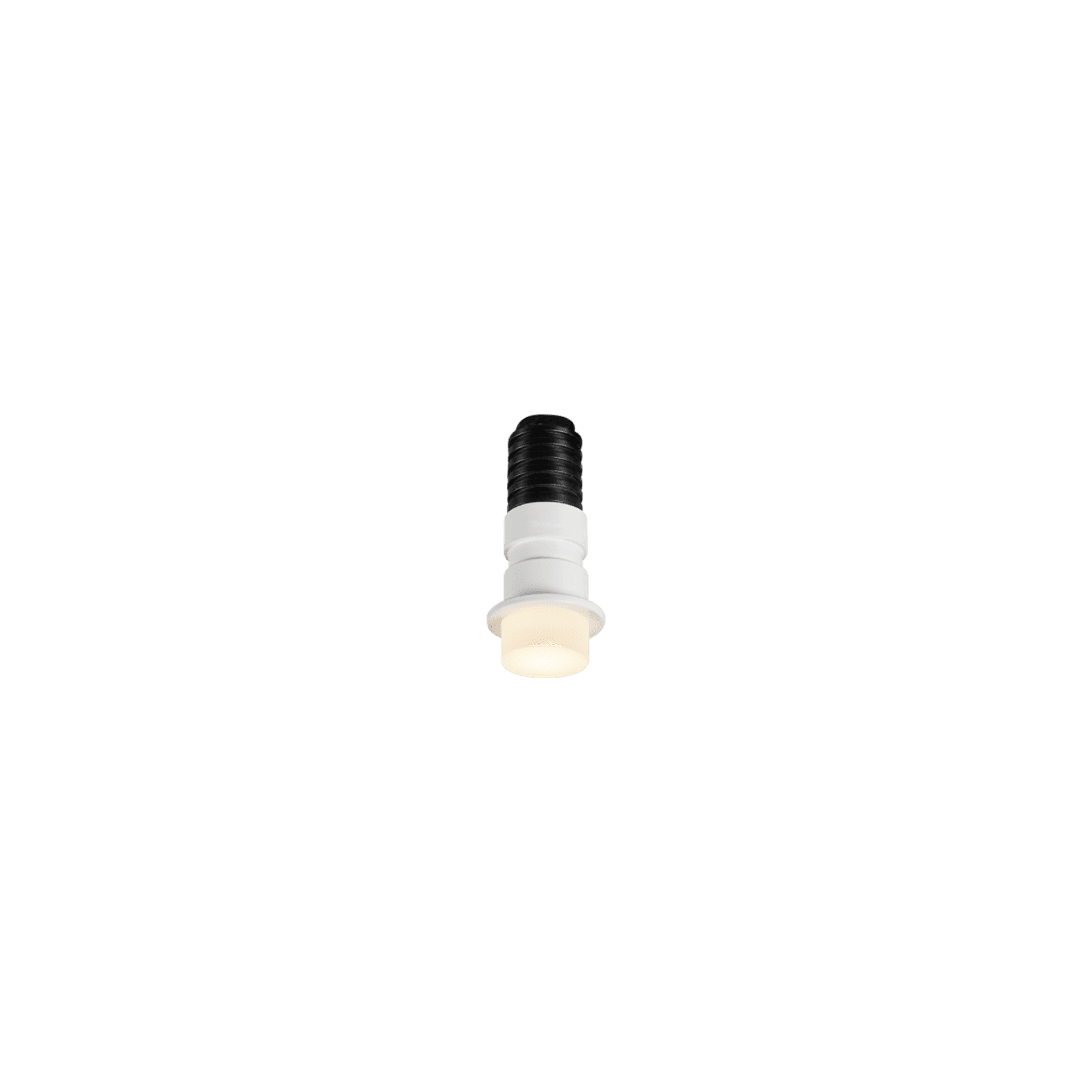 Tacca-F20 gallery detail image