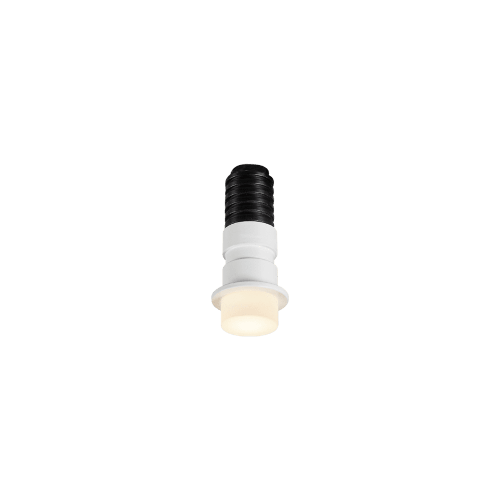 Tacca-F20 gallery detail image