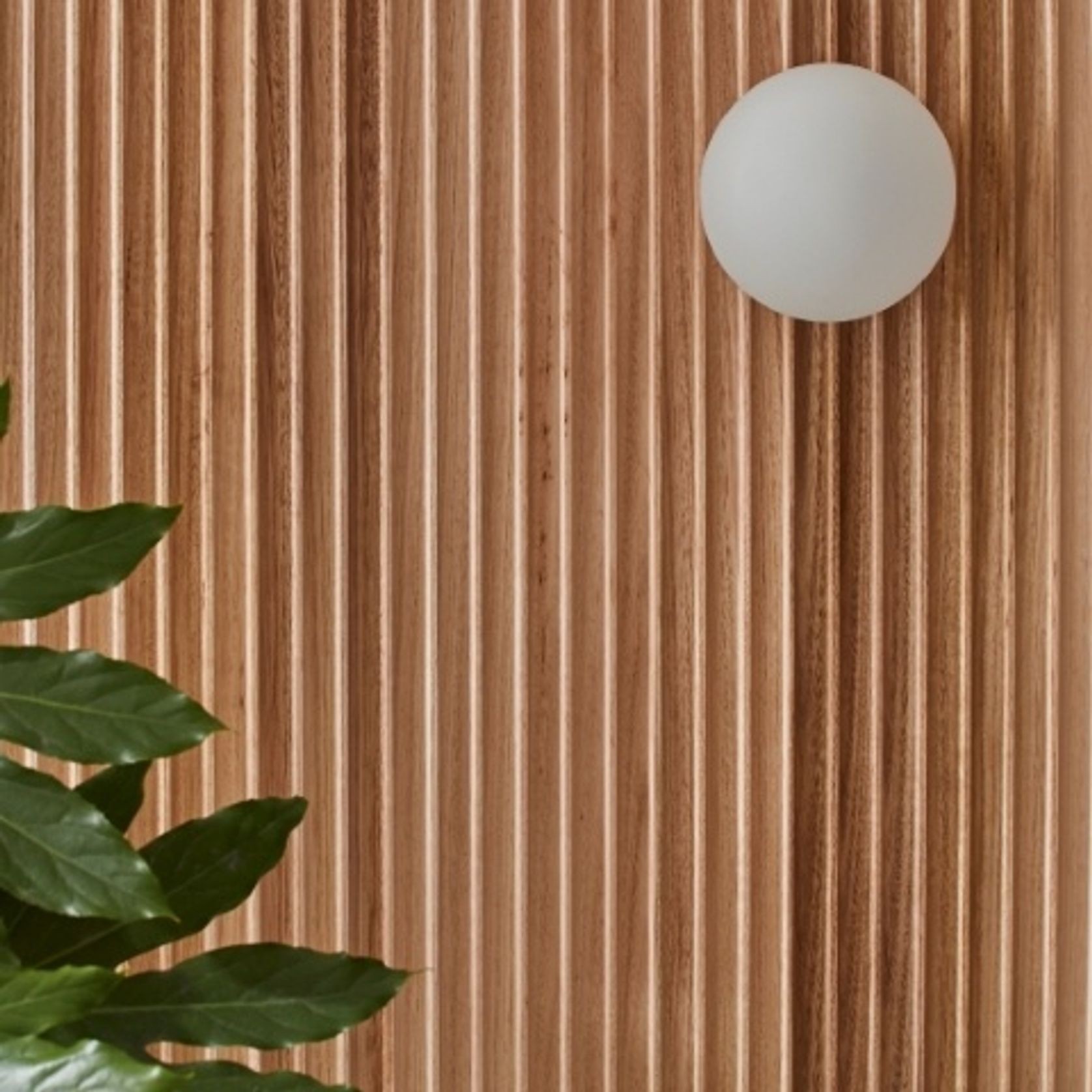 Contours Tasmanian Oak gallery detail image