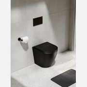 Flow Typhoon Inwall Toilet Suite | Brushed Bronze Btn gallery detail image