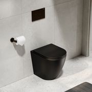Flow Typhoon Inwall Toilet Suite | Brushed Bronze Btn gallery detail image