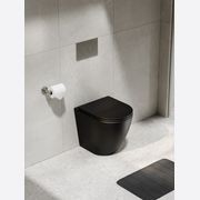 Flow Typhoon Inwall Toilet Suite | Brushed Nickel Btn gallery detail image
