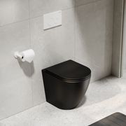 Flow Typhoon Inwall Toilet Suite | Matte White Button gallery detail image