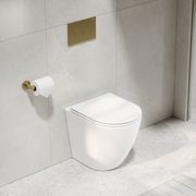 CODE Flow Typhoon Inwall Toilet Suite | Brushed Brass Button gallery detail image