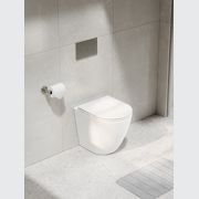 CODE Flow Typhoon Inwall Toilet Suite | Brushed Nickel Button gallery detail image