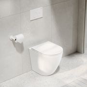 Flow Typhoon Inwall Toilet Suite | Matte White Button gallery detail image