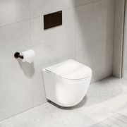 CODE Flow Typhoon Wall Hung Toilet Suite | Brushed Bronze Button gallery detail image
