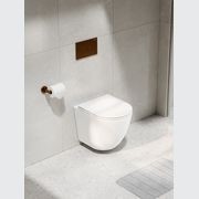 Flow Typhoon Wall Hung Toilet Suite |Brushed Copper Btn gallery detail image