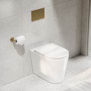 CODE Pure Typhoon Inwall Toilet Suite | Brushed Brass Button gallery detail image