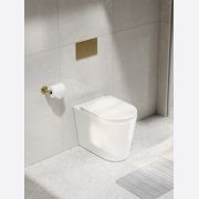 Pure Typhoon Inwall Toilet Suite | Brushed Brass Button gallery detail image