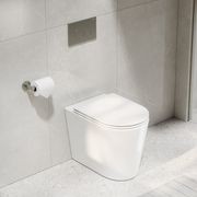 CODE Pure Typhoon Inwall Toilet Suite | Brushed Nickel Button gallery detail image