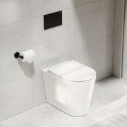 Pure Typhoon Inwall Toilet Suite | Gunmetal Button gallery detail image