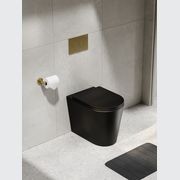 Pure Typhoon Inwall Toilet Suite | Brushed Brass Button gallery detail image