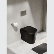 CODE Pure Typhoon Inwall Toilet Suite | Brushed Nickel Button gallery detail image