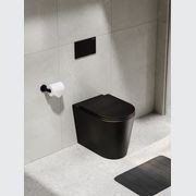 Pure Typhoon Inwall Toilet Suite | Matte Black Button gallery detail image
