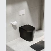 Pure Typhoon Inwall Toilet Suite | Matte White Button gallery detail image