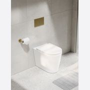 Pure Typhoon Inwall Toilet Suite | Brushed Brass Button gallery detail image