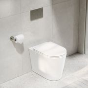 CODE Pure Typhoon Inwall Toilet Suite | Brushed Nickel Button gallery detail image