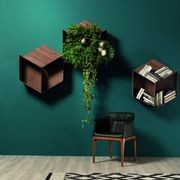Libreria Pangea Shelf gallery detail image