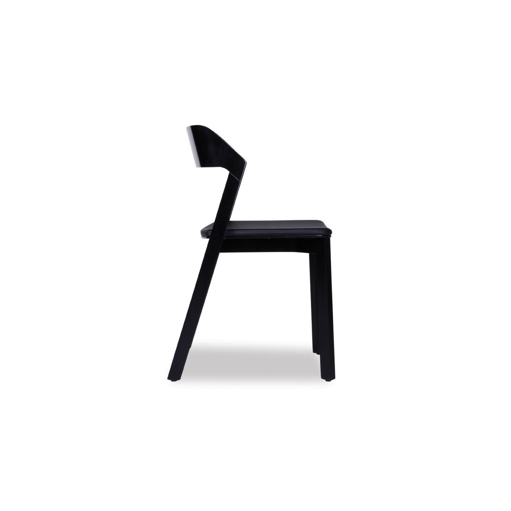 Merano Dining Chair - Black Stained - by TON gallery detail image
