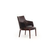 Velis | Lounge Armchair gallery detail image