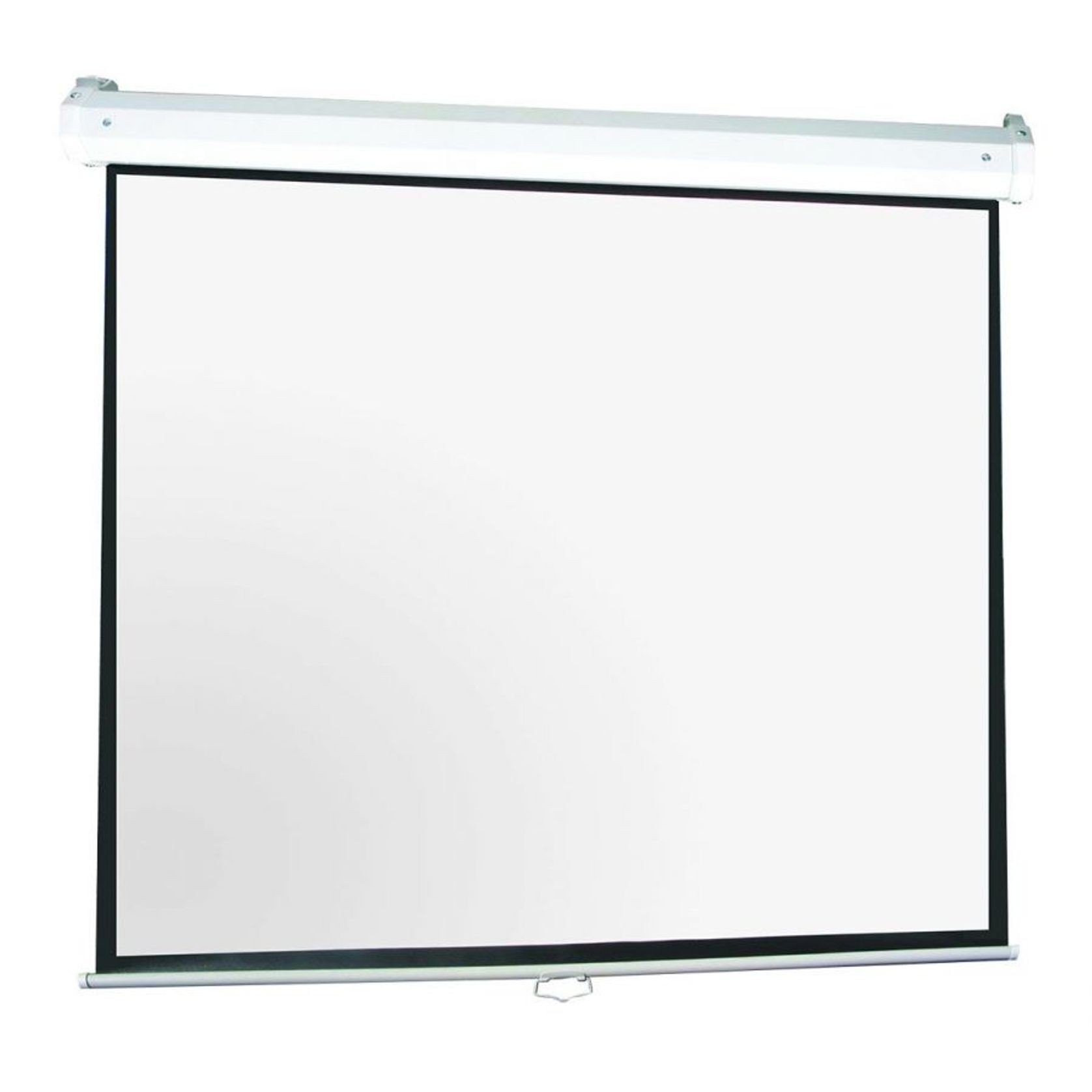 Projection Screen Pull gallery detail image