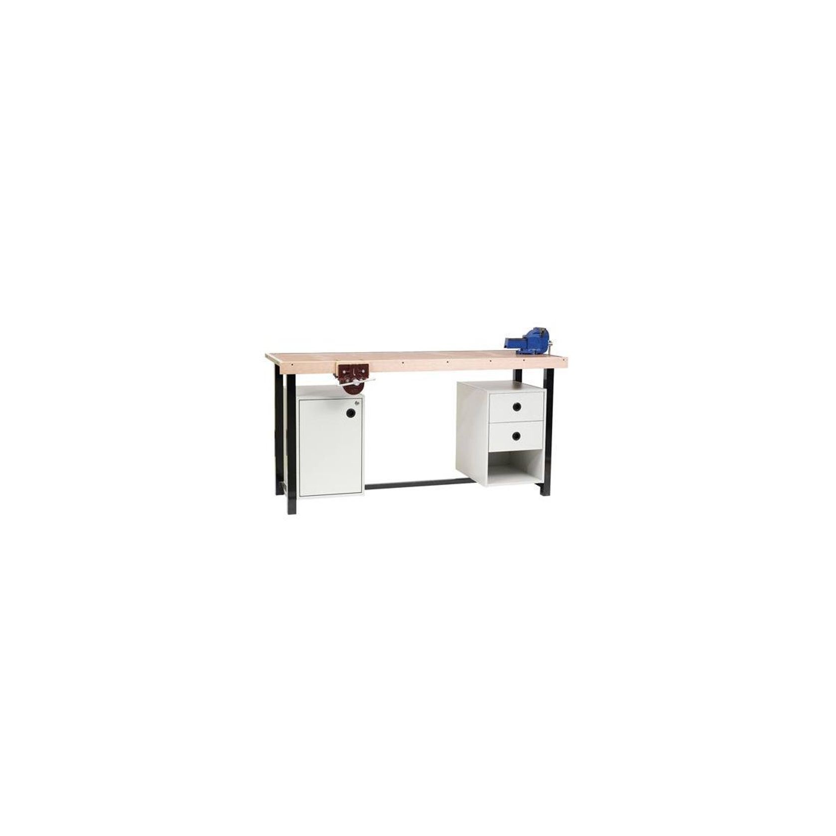 Workshop Demonstration gallery detail image