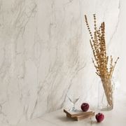 Apuano Oro Matt 60x120 gallery detail image
