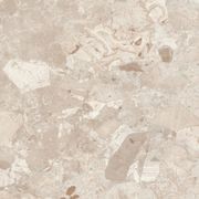 Breccia Mandorla Matt 60x120 gallery detail image