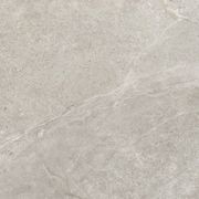 Magic Stone Ivory Gecko 60 gallery detail image