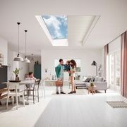 Skylight Two Way Pleated - Wand | Pleated Blinds gallery detail image