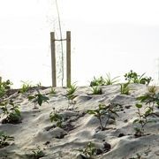 EcoWool™ Mulch Matting 1000gsm gallery detail image
