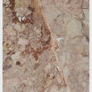 Breccia Pernice gallery detail image