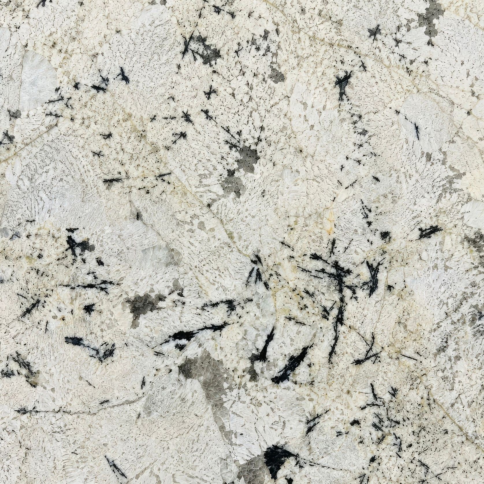 Delicatus Quartzite | Natural Stone gallery detail image