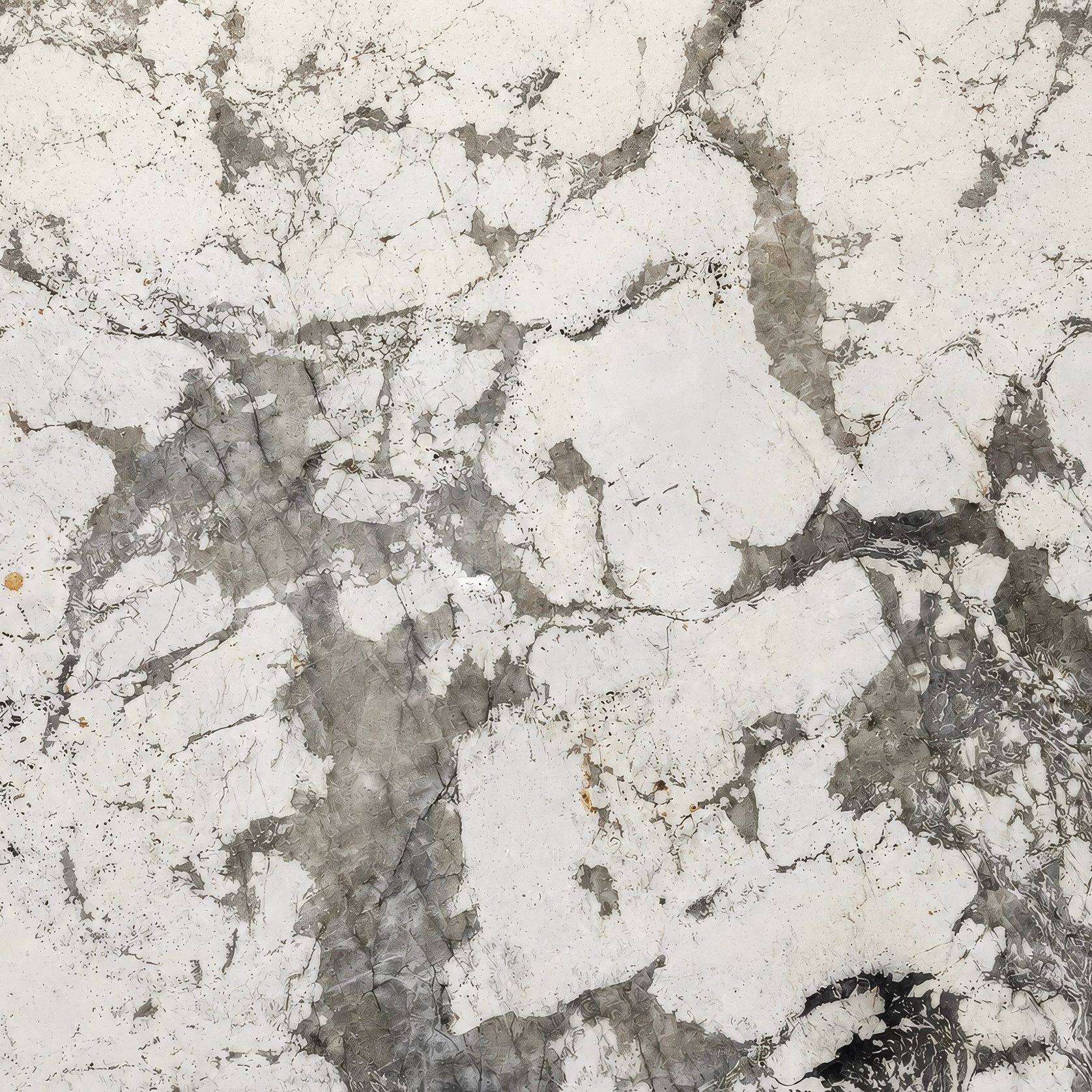 Monalisa Noir Quartzite | Natural Stone gallery detail image